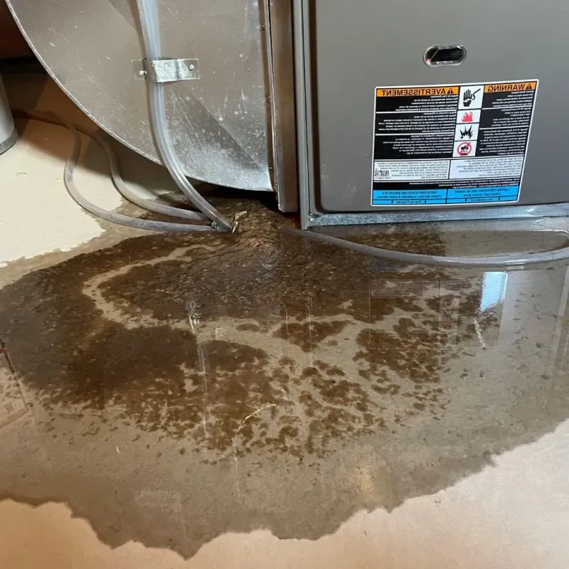 Pipe Burst and Leak Restoration in Moorcroft, WY