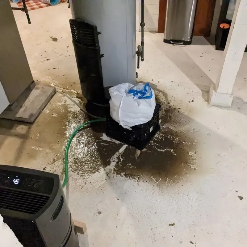 Sewage Backup Cleanup Service in Moorcroft, WY